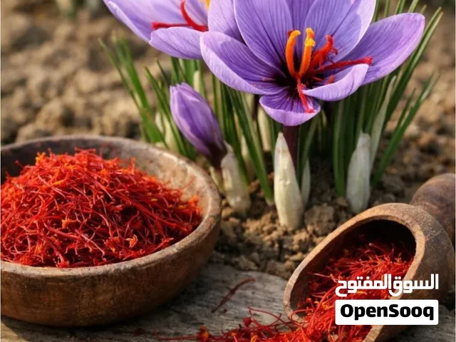 İran Safranı زعفران الإيراني – بأفضل الأسعار