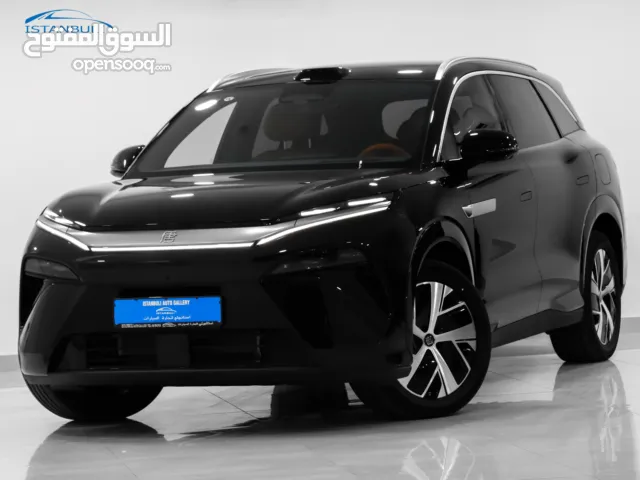 Tang L DM-i LiDAR Flagship 35.6 kWh 200km 7 years warranty