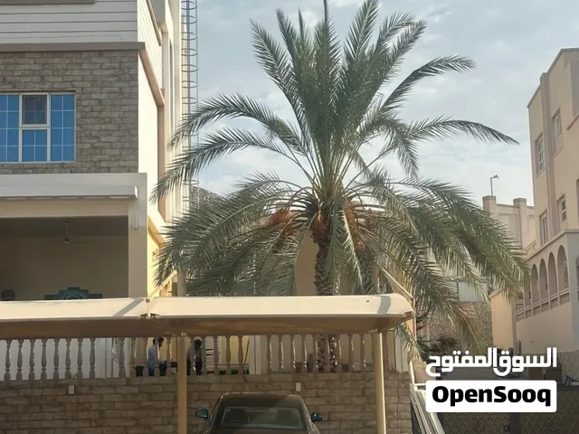 Stand Alone House For Rent in Madinat Illam/منزب مستقل للايجار في مدينة الاعلام