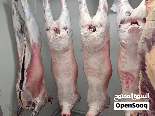 GOAT and Lamp carcass for sale