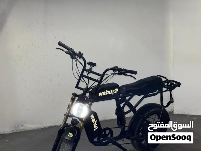 Long-Range Electric Bike – Dual Battery
