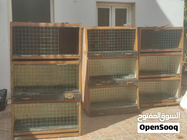 بارتيات حمام للبيع