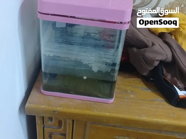حوض أسماك صغير للبيع وياه هيتر وفلتر سعره 15 مكاني بصرة حيانية