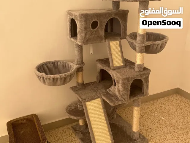 بيت للقطط ارتفاع متر ونص حجم كبير جد