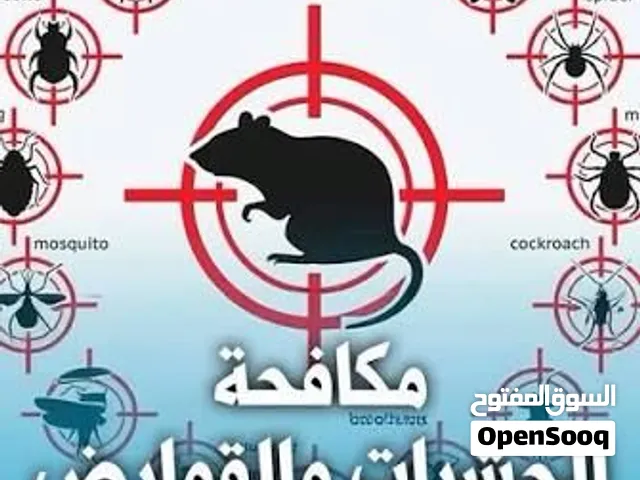 شركة رش حشرات مبيدات جميع الحشرات بالمدينة المنورة