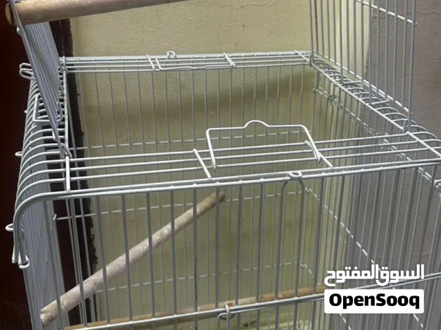 Bird's  Cage