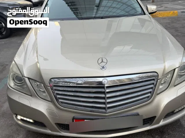 2010 Mercedes Benz E-Class E 300