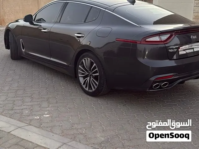 2019 Kia Stinger Turbo 4 Cylinder - حالة ممتازة !