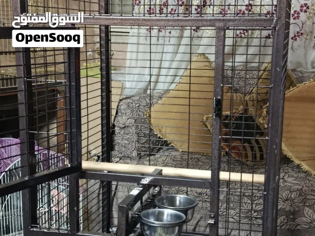 متاح للبيع اقفاص ببغاء عموله شغل محمل فك وتركيب اشكال مختلفه تصلح لجميع انواع الطيور