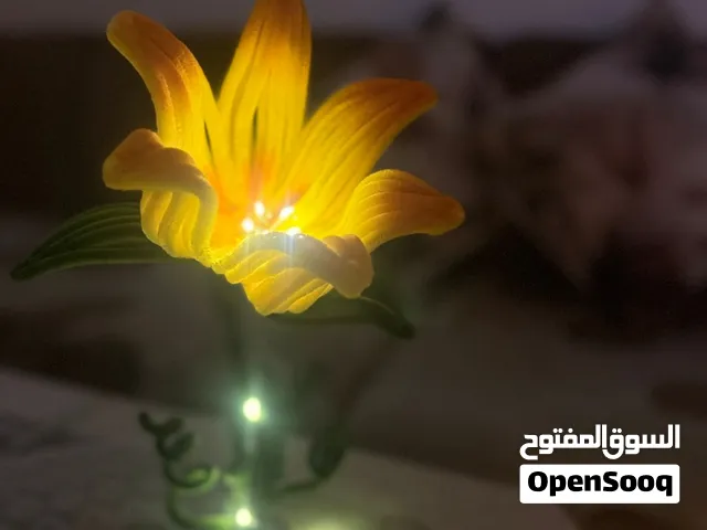إضاءة زهرية بلمسة إبداعية فاخرة lamp