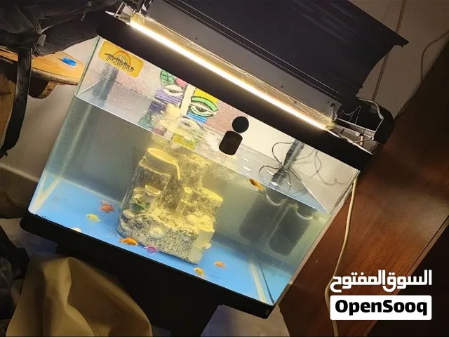 حوض اسماك متوسطى الحجم ماركه RBW