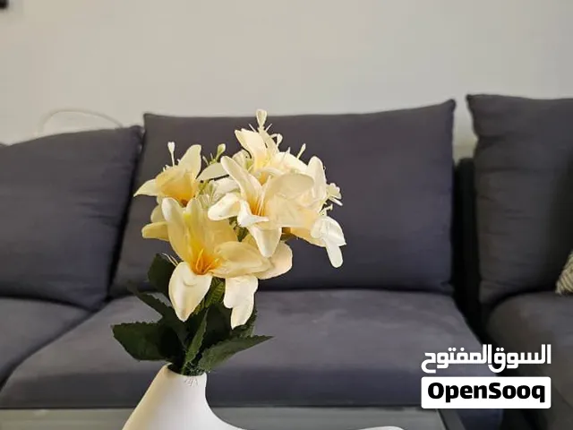 Elegant Vases