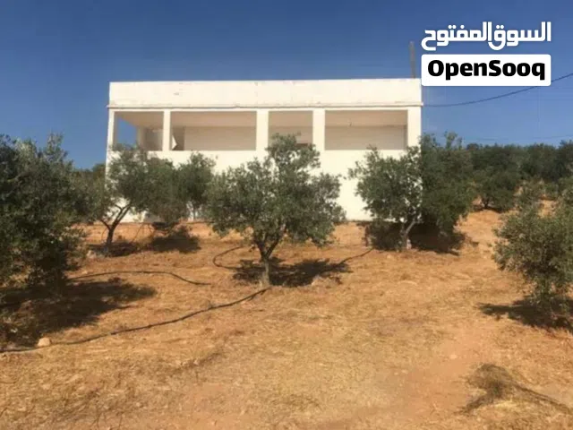 2 Bedrooms Farms for Sale in Mafraq Bweida Al-Ilimat