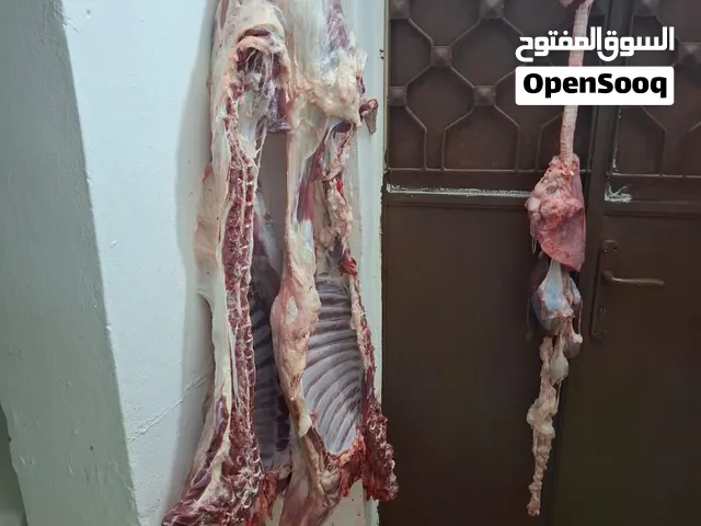 لحام متنقل لذبح الأغنام في المنازل داخل السلط.