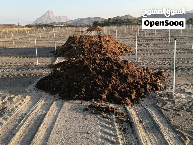 For Sale: Organic Chicken Fertilizer - Natural & High Quality*   Clean chicken manure fertilizer ava