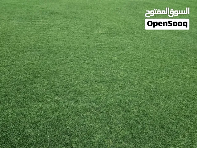 معشب طبيعي  امريكي