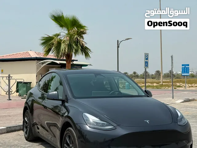 Tesla model Y 2025