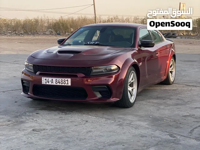 اريد اراوس هاذ لويل بويل بوليسي
