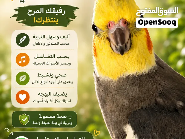 كروان كوكتيل