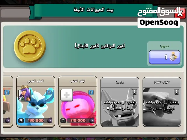 حساب كلاش اوف كلانس 16 ماكس بس قاعه المدينه 17