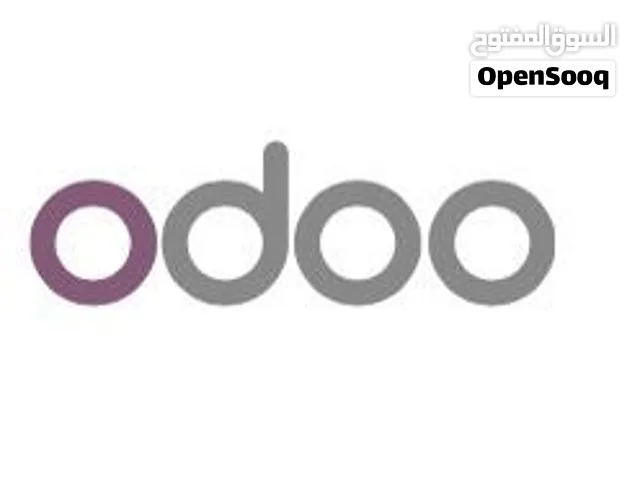Odoo ERP System