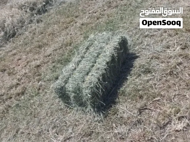 حشيش برايد ربط كبااار