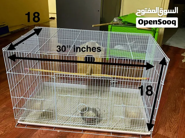 Bird cage for sale