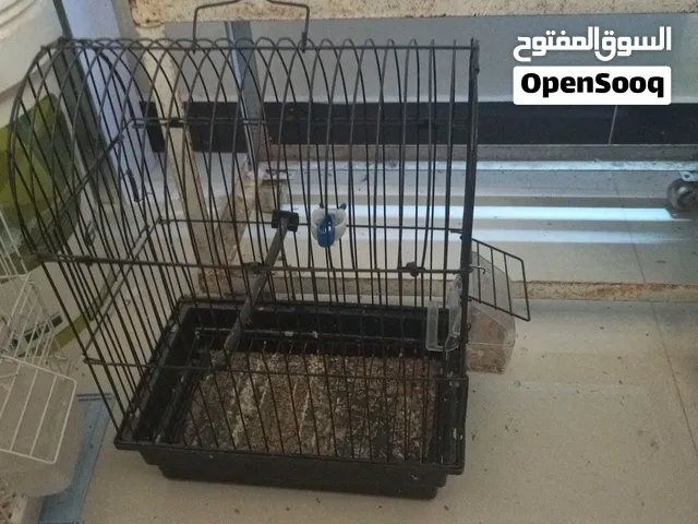 أقفاص عصافير