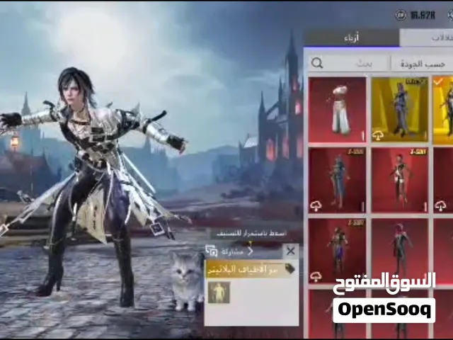 Pubg Accounts and Characters for Sale in Sana'a