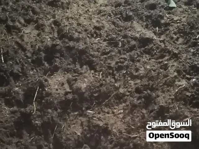 سماد بقر +سماد غنم
