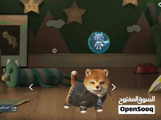 Pubg Accounts and Characters for Sale in Beheira