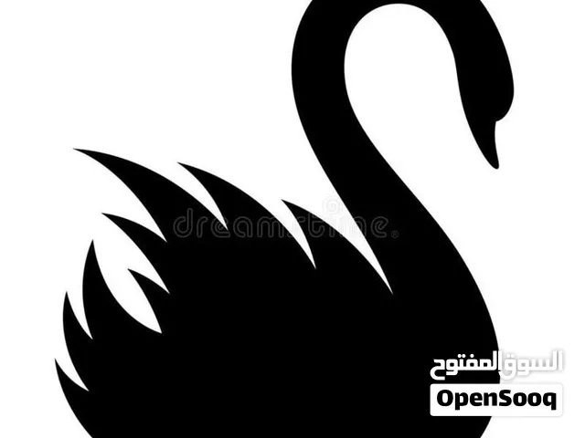 لوغوات احترافية للبيع