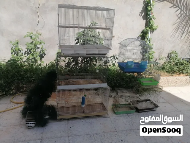 اقفاص مستعملة للبيع