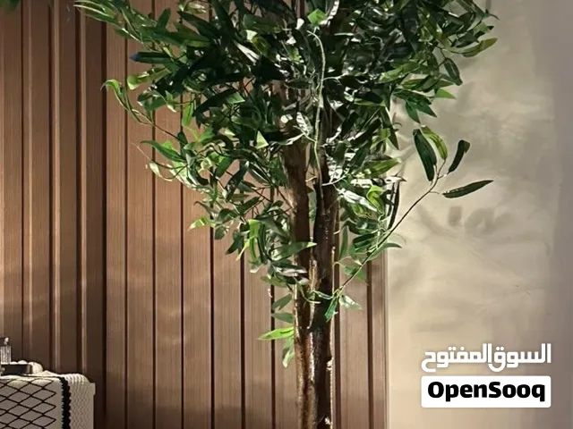 شجر صناعي بجذع طبيعي عليه عزل حمايه