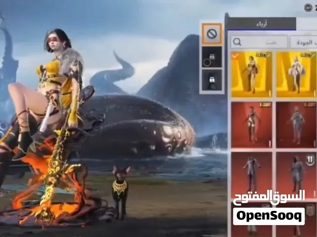 حساب بوبجي فاخر ومخفض