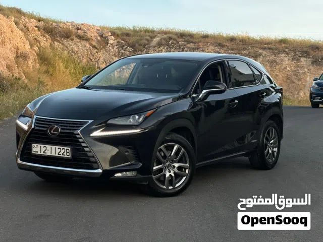 2020 Lexus NX NX 250