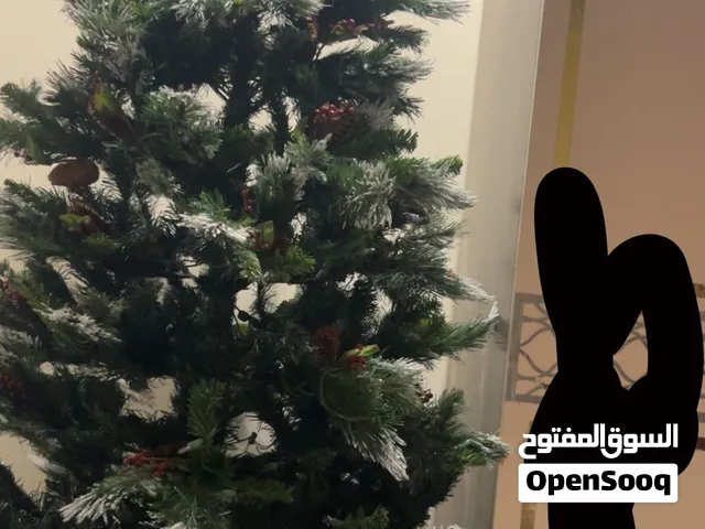 شجرة كرسمس فيها اضواء