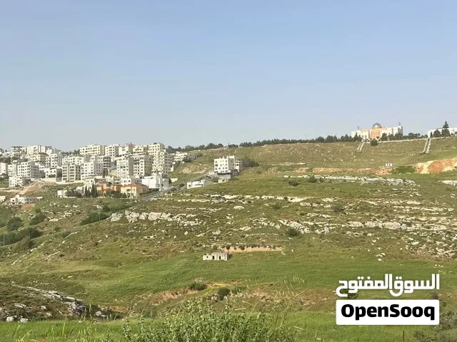 بدر الجديدة قرب دابوق مقابل المدينة الطبية الرباحية الشمالية