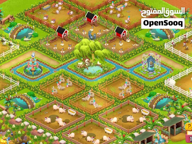 هاي دي مستوى 172