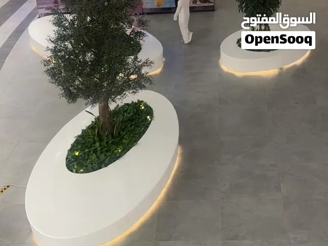 حوض زراعي للصالات والمولات والفلل