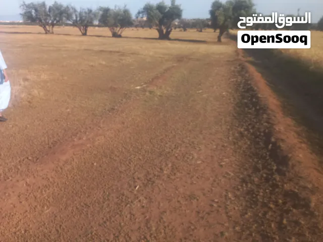 ارض فلاحية تصلح للفلاحة وتجهيز للبناء