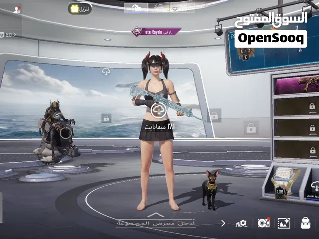 Pubg Accounts and Characters for Sale in Ramallah and Al-Bireh