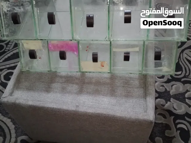 مستلزمات دكانة للبيع