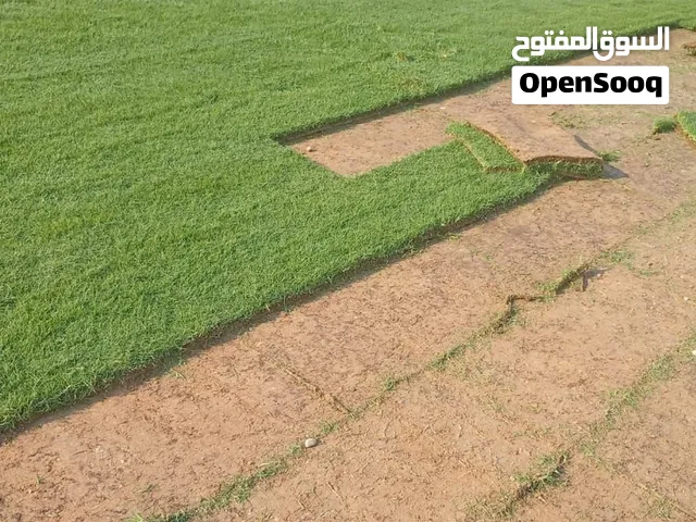 مزرعة ابو بشرا لتيل الطبيعي