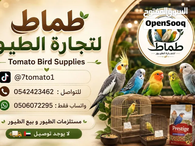 ترويض  الببغاوات