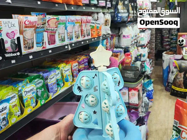 العاب قطط حديثه 2026 من اجود واحلى الانواع واقوى انواع البلاستيك