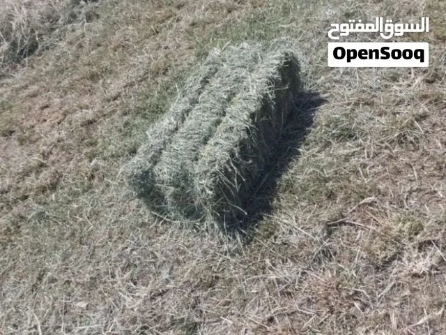 حشيش للبيع