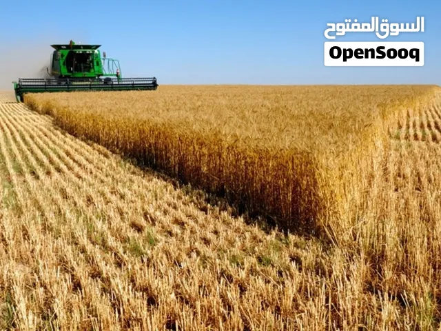 فرصة استثمارية زراعية, 1335 دونم مناسبة للانتاج الزراعي و مشاريع الثروه الحيوانية