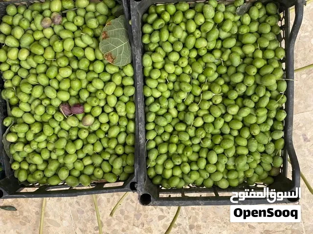 زيتون بلدي