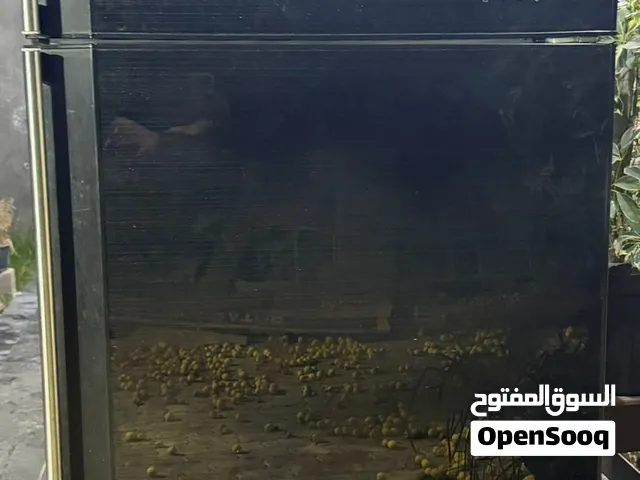 تلاجه شارب شغاله 5 نجوم جيده جدا